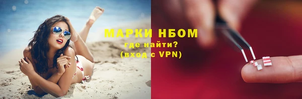 таблы Новозыбков