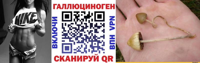 купить закладку  Нижняя Тура  Псилоцибиновые грибы Psilocybine cubensis 